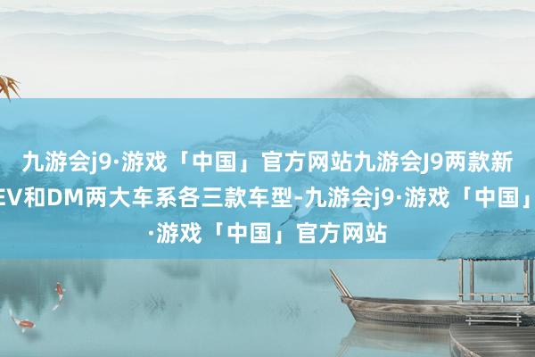 九游会j9·游戏「中国」官方网站九游会J9两款新车均提供EV和DM两大车系各三款车型-九游会j9·游戏「中国」官方网站